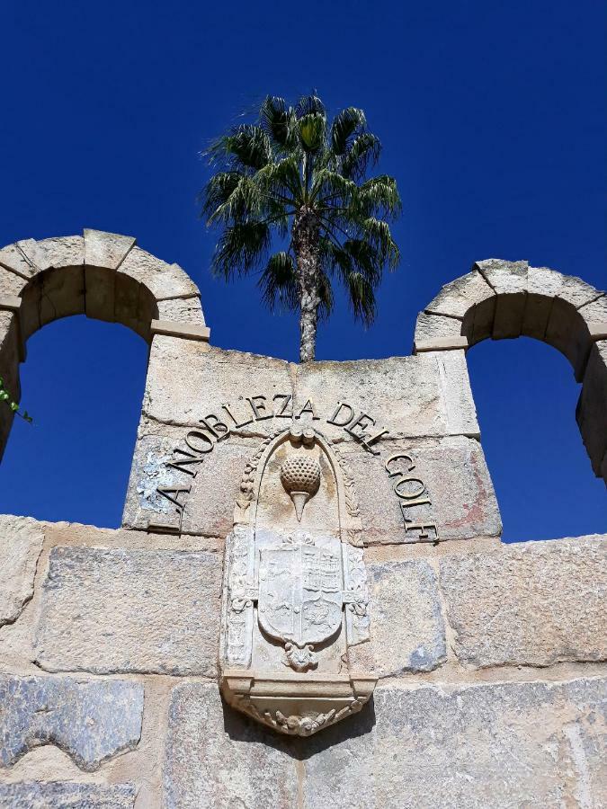 Fabulous Detached Large Villa 5 Bedrooms 3 Bathrooms Backing Onto Villamartin Golf Course 外观 照片